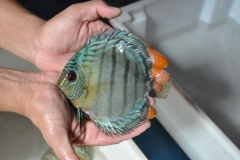 06-05-2011_15-31_5251224