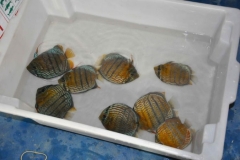 06-05-2011_15-31_5267026