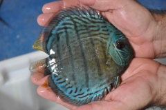 06-05-2011_15-34_3882411