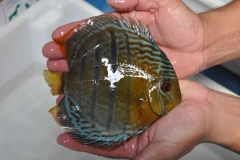 06-05-2011_15-40_2045510