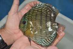 02-05-2011_16-02_2820386