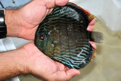 02-05-2011_16-02_2874360