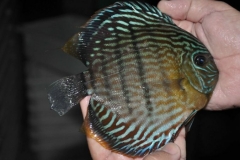 02-05-2011_16-02_2895771