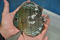 02-05-2011_16-04_242090