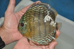 02-05-2011_16-04_2432492