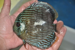 02-05-2011_16-04_2473695