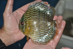 02-05-2011_16-06_27885105