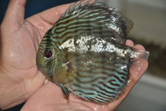 02-05-2011_16-06_27938109