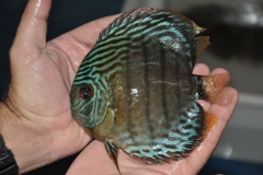 02-05-2011_16-09_31103132