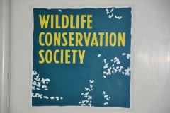 22-04-2011_23-01_30915