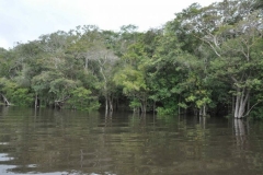 22-04-2011_23-05_3777410