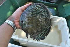 26-09-2011_14-23_5343887