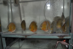 27-02-2011_20-59_1866494