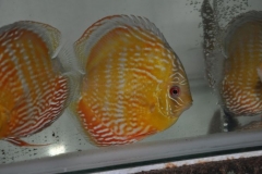27-02-2011_21-00_3253992