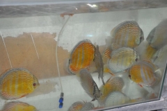 27-02-2011_21-01_5574990