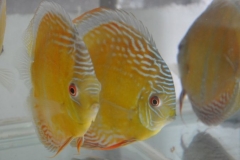 27-02-2011_21-03_0714189