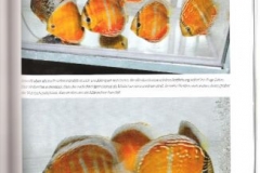 27-01-2012_22-26_33877pg_31_Medium