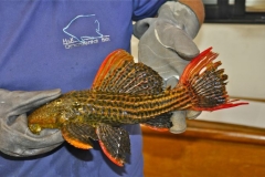 15-07-2013_16-25_5444408