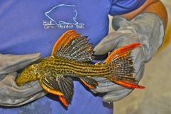 15-07-2013_16-25_5528009