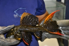 15-07-2013_16-25_5686210