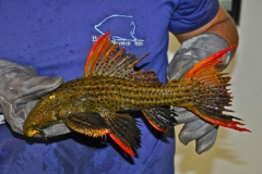 15-07-2013_16-25_5770112