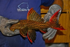 15-07-2013_16-25_5917319