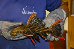 15-07-2013_16-25_5995014