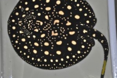 15-07-2013_16-26_00569_DSC9512